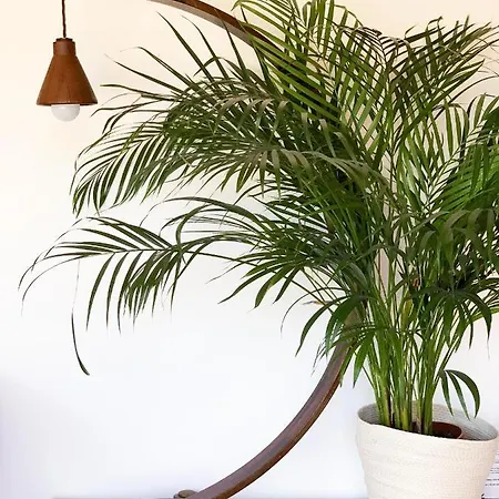 La Terrazza Di Isabel * Rome