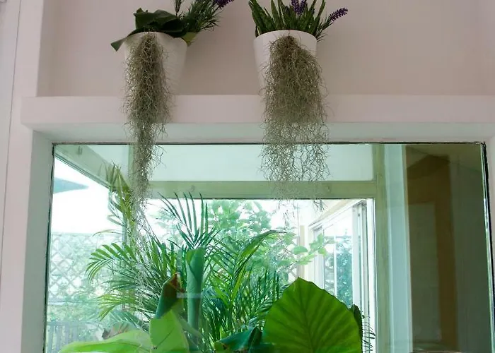 La Terrazza Di Isabel