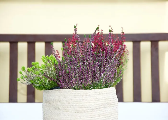 La Terrazza Di Isabel Casa de Férias *