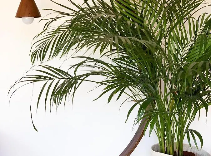 La Terrazza Di Isabel * Roma